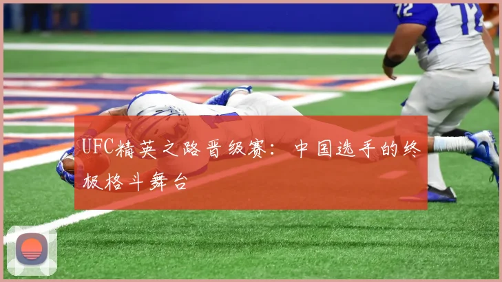 UFC精英之路晋级赛：中国选手的终极格斗舞台