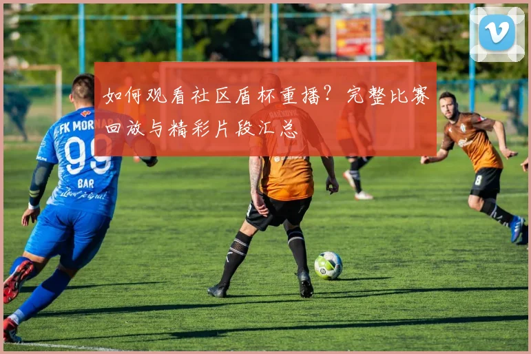 如何观看社区盾杯重播?完整比赛回放与精彩片段汇总