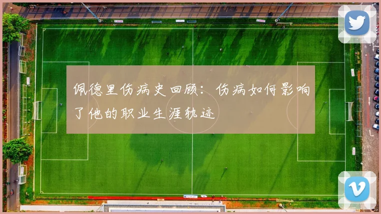 佩德里伤病史回顾:伤病如何影响了他的职业生涯轨迹
