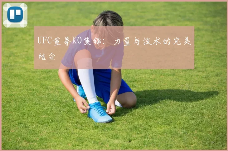 UFC重拳KO集锦：力量与技术的完美结合