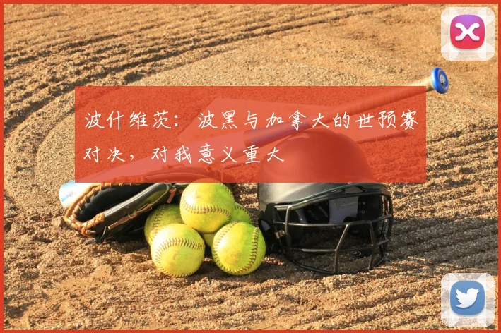 波什维茨：波黑与加拿大的世预赛对决，对我意义重大
