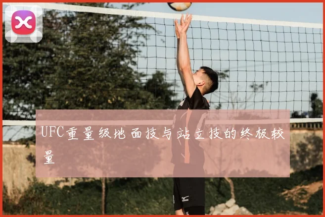 UFC重量级地面技与站立技的终极较量