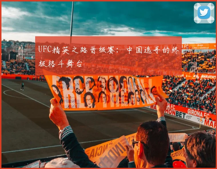 UFC精英之路晋级赛：中国选手的终极格斗舞台