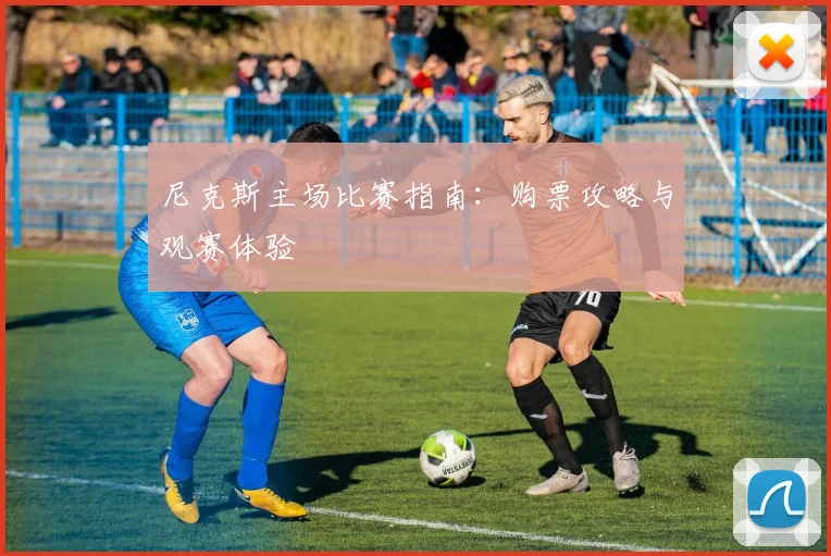 尼克斯主场比赛指南：购票攻略与观赛体验