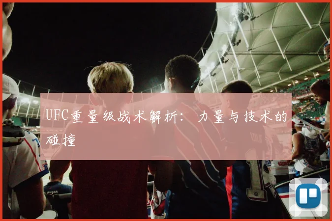 UFC重量级战术解析：力量与技术的碰撞