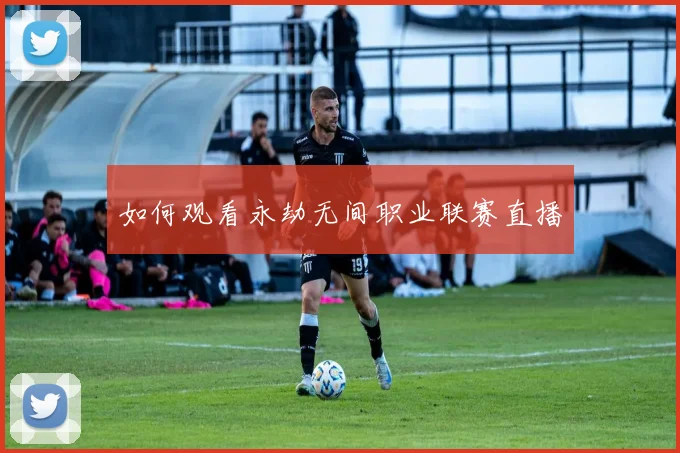 如何观看永劫无间职业联赛直播