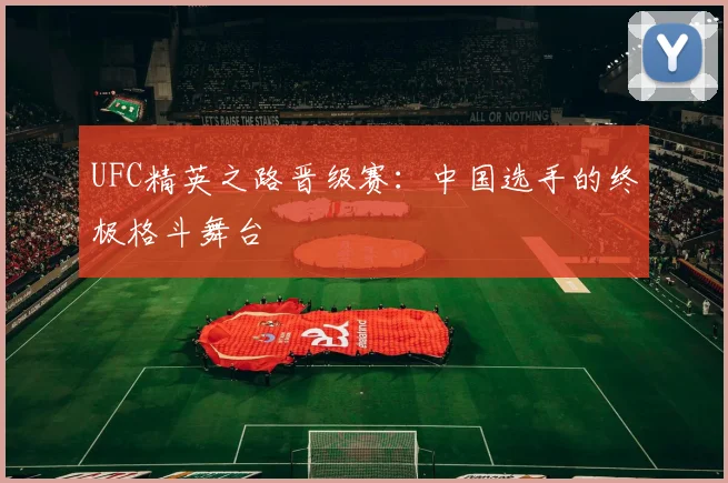 UFC精英之路晋级赛：中国选手的终极格斗舞台