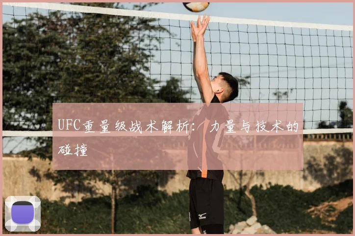 UFC重量级战术解析：力量与技术的碰撞