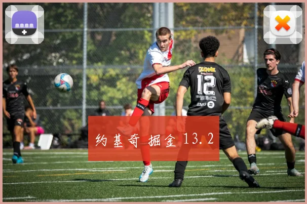 约基奇 掘金 13.2