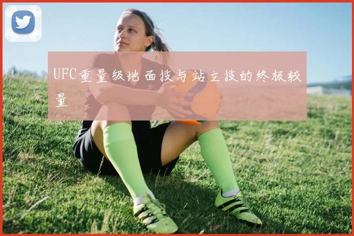 UFC重量级地面技与站立技的终极较量