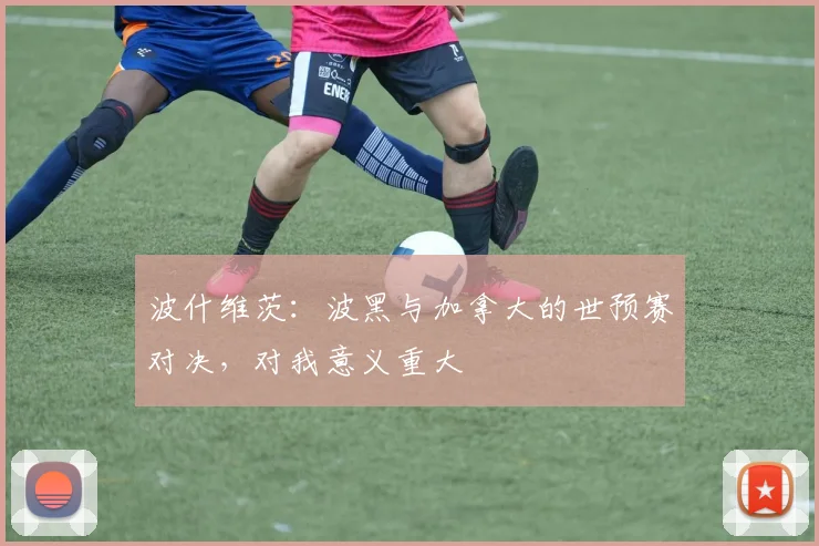 波什维茨：波黑与加拿大的世预赛对决，对我意义重大